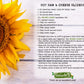 Smudes Sunflower Oil – Cold Pressed, 100% Pure, Unrefined, ½ Gallon (64 oz.), Golden Yellow, Non-GMO, Vegan, Kosher