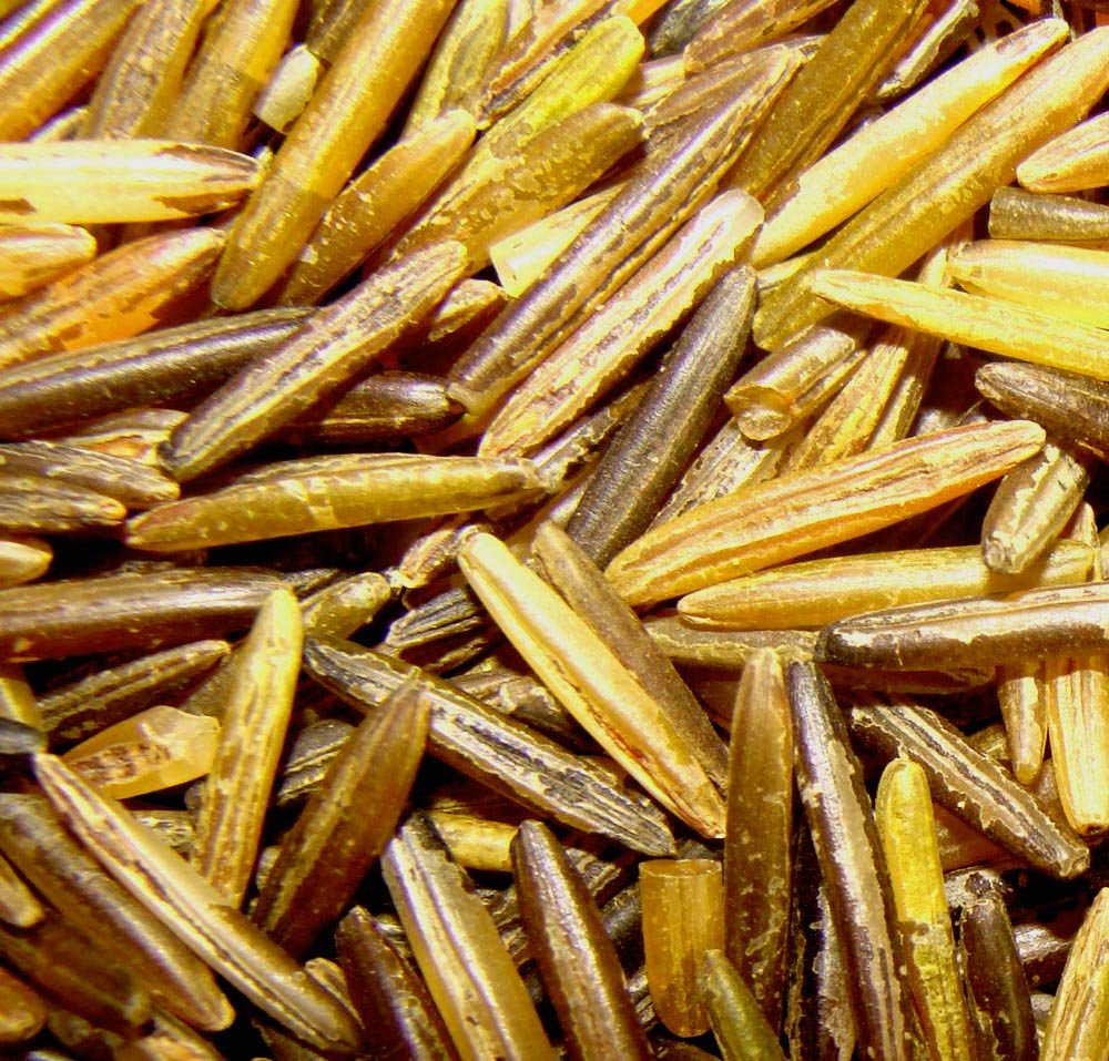 BINESHII Wild Rice - Hand Harvested, Wood Parched, All Natural - 1 LB Pack