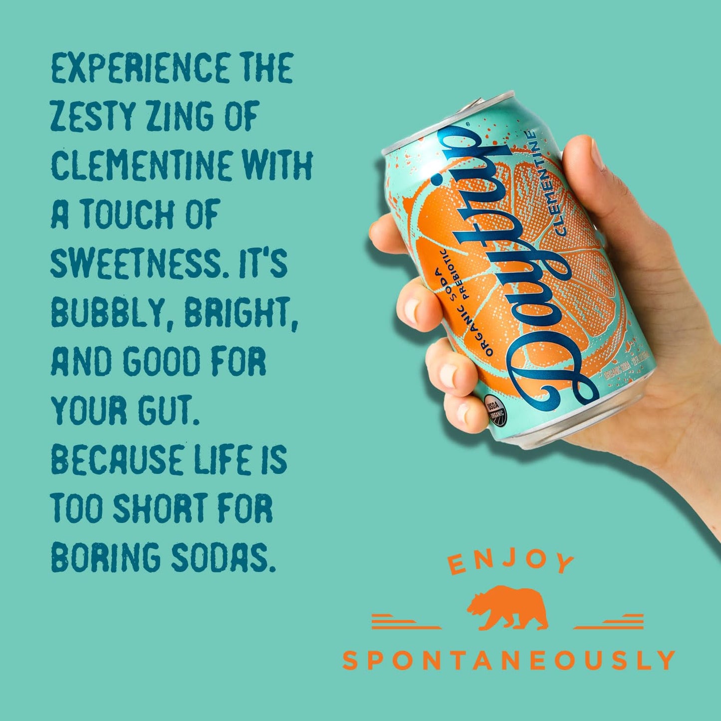 Daytrip Sparkling Prebiotic Soda - Low Calorie, Fiber Enriched, USDA Organic, 12oz