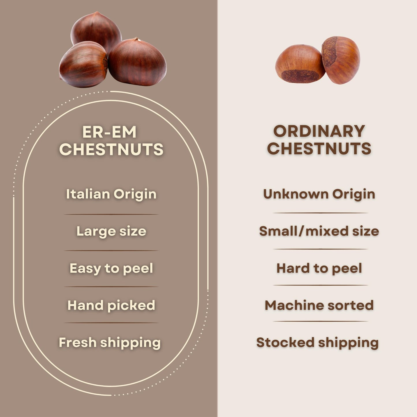 enhanced Italian Chestnuts - Fresh  Large Size  Easy to Peel  Hand-Picked  Farm Fresh  All Natural  Gluten-Free & Vegan Snack  Gluten-Free Snack (2 LBS)