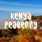 Kenya Peaberry Coffee, Whole Bean, Single Origin, Fresh Roasted, 16-ounce