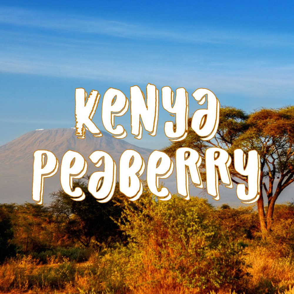 Kenya Peaberry Coffee, Whole Bean, Gourmet Coffee Beans, Single Origin, Fresh Roasted, 5 Lbs