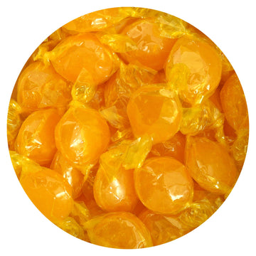The Hampton Candy Company Arcor Butterscotch Discs Hard Candy, 1 lb Bulk (Approx. 75 pcs), Yellow Butterscotch Candy