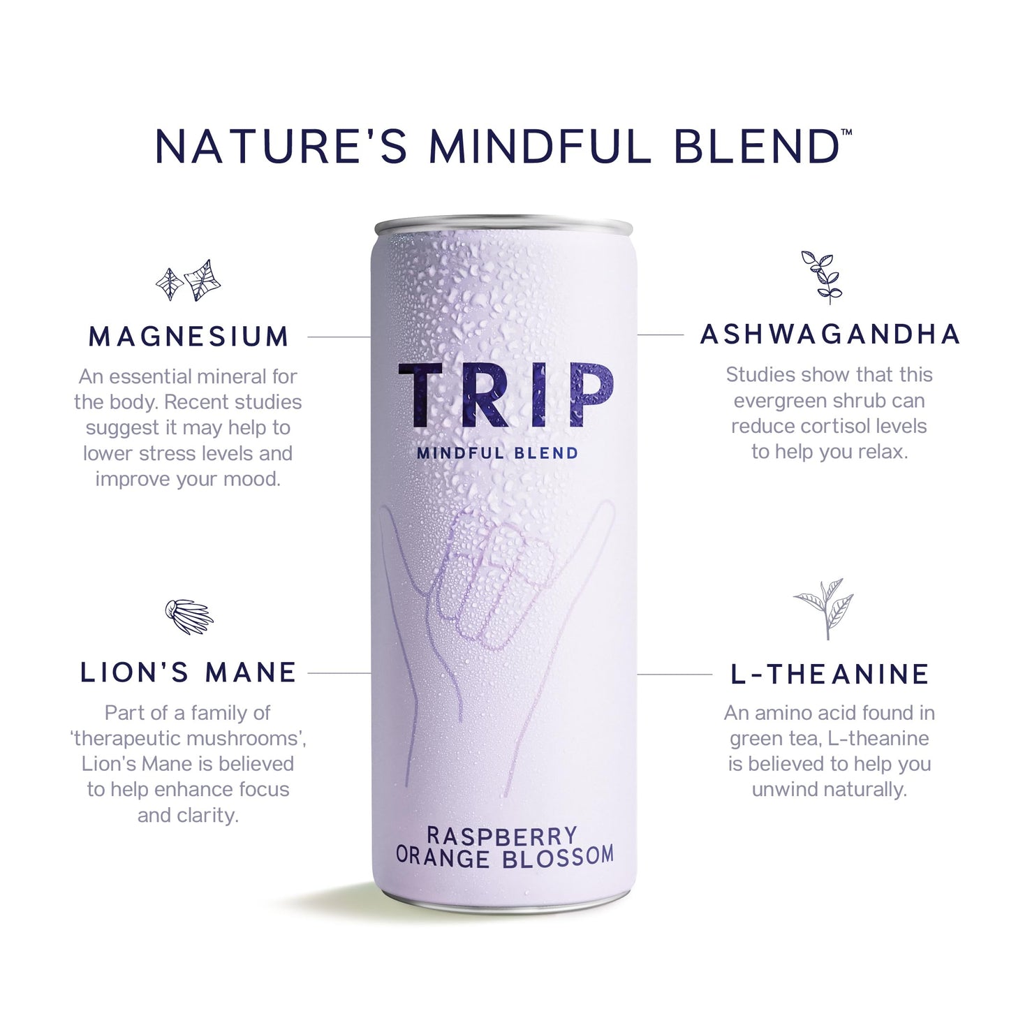 TRIP Adaptogen Seltzer, Lightly Sparkling Raspberry Blossom, 12 Fl Oz (Pack of 12), No Added Sugar, Vegan