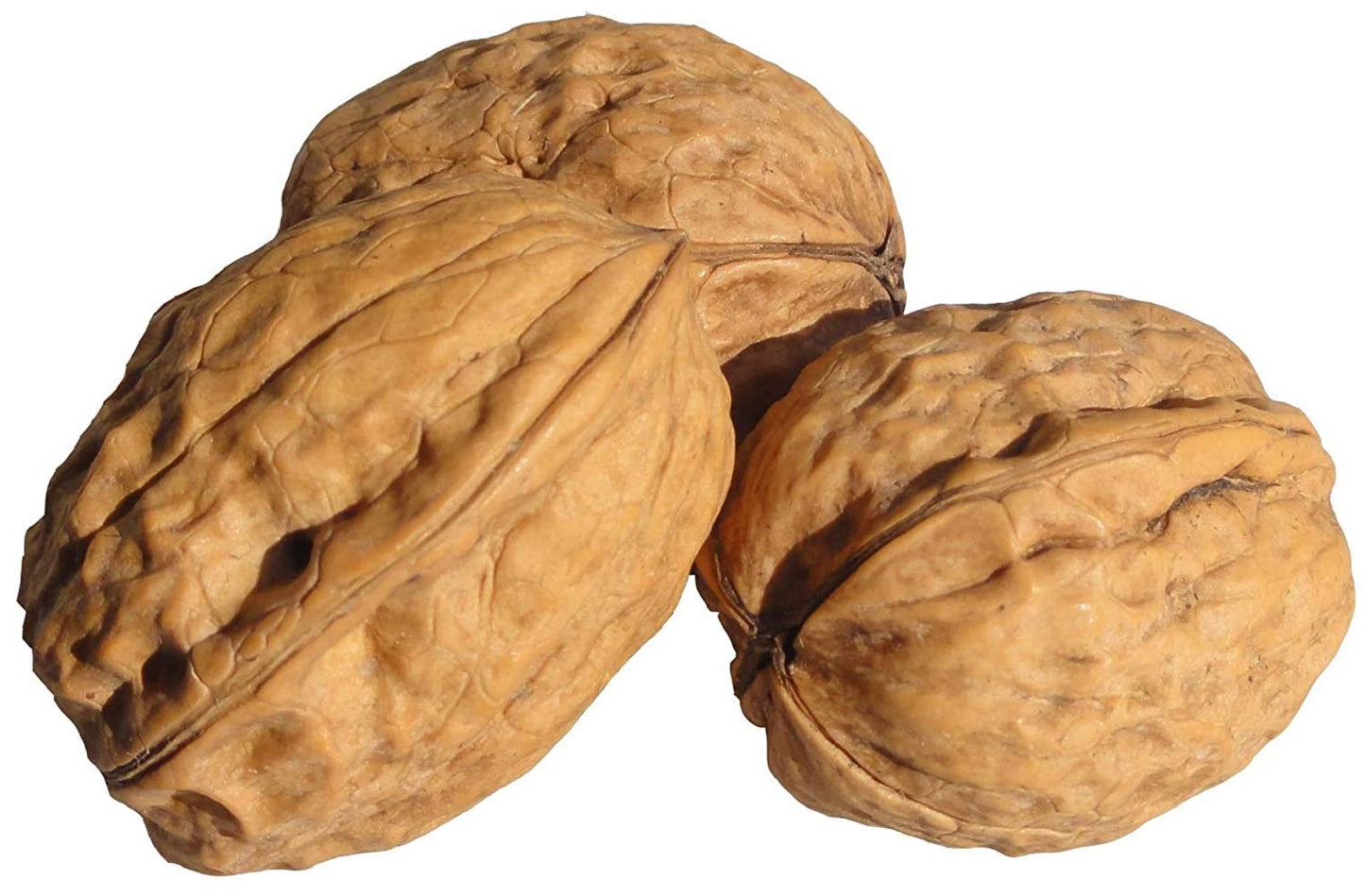 Farm Fresh Nuts In Shell Walnuts - Large Natural California Nuts, 2 Lbs., Brown