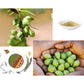 Kakadu Plum Freeze Dried Powder | 100 Percent Natural No Added Sugar | The World’S Richest Natural Source Of Vitamin C By The Australian Superfood Co | 30 Gram