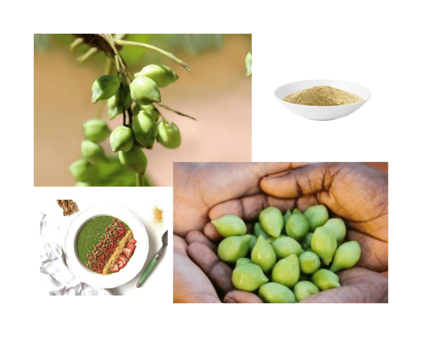 Kakadu Plum Freeze Dried Powder | 100 Percent Natural No Added Sugar | The World’S Richest Natural Source Of Vitamin C By The Australian Superfood Co | 30 Gram