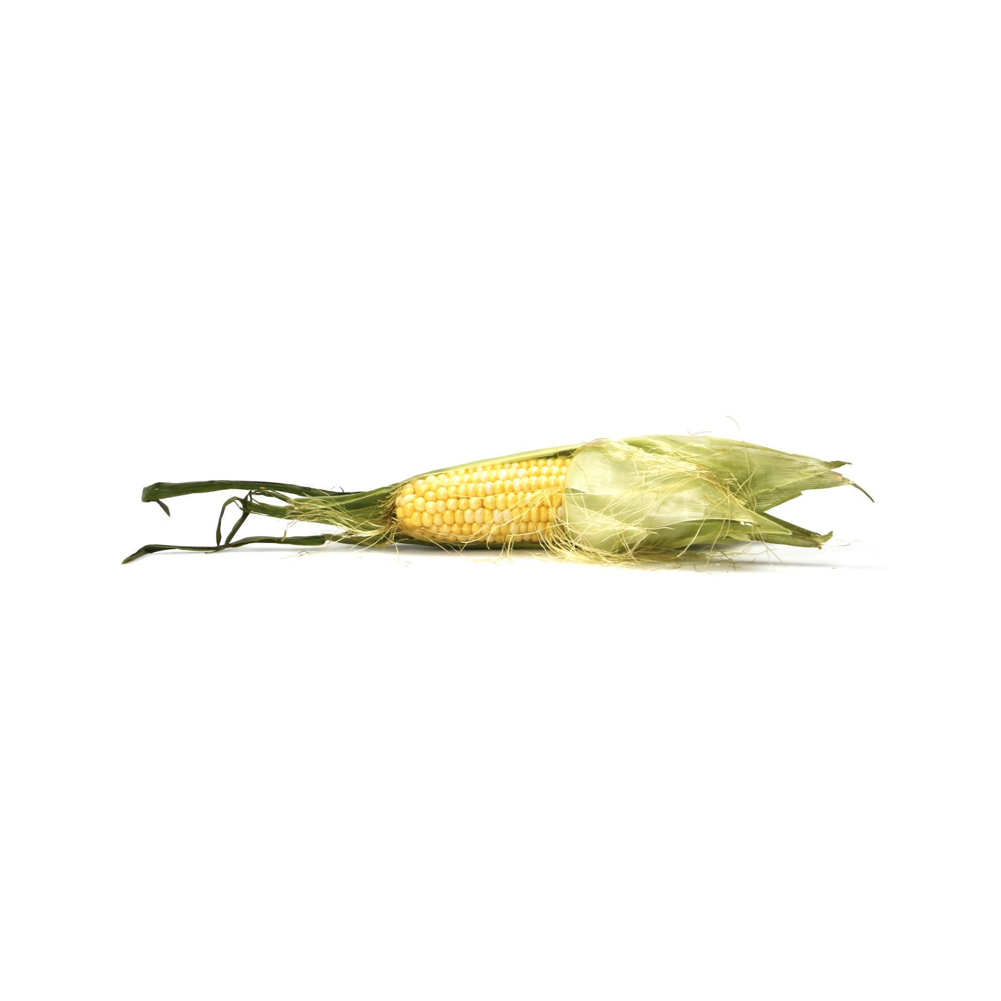 Bi-Color Corn