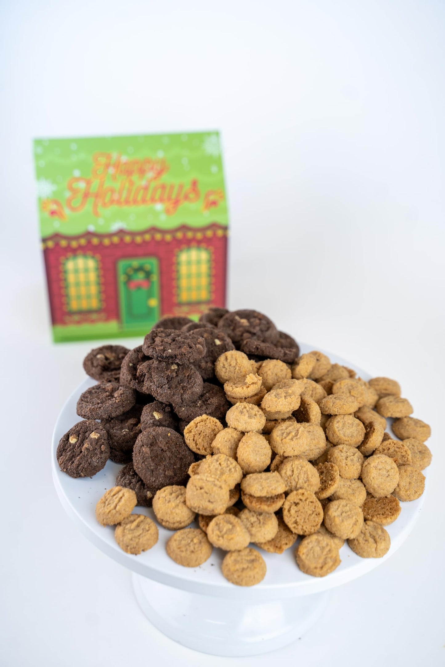 Christmas Cookie House Gift Box With 2 Cookie Flavors Inside By Send A Cake – Hot Chocolate & Snickerdoodle Sugar Cookies – Festive Holiday Gift For Women, Men, Sister, Mom, Dad, Best Friend, Mature-Themeds, Kids