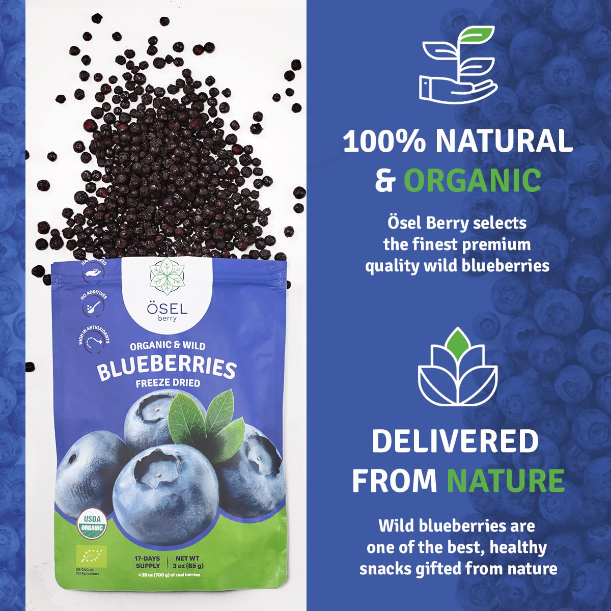 Ösel Berry Organic Dried Blueberries - 100% Unsweetened Wild Blue Berries | Handpicked Freeze Dried Blueberries - Organic & Fresh | Dry Whole Fruit Blueberry - Rich In Antioxidants & No Sugar Added