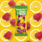 Bearded Brothers Vegan Organic Food Bar - Raspberry Lemon, 12 Pack, Gluten Free, Paleo, Non GMO, Soy Free, Low Glycemic, No Suga