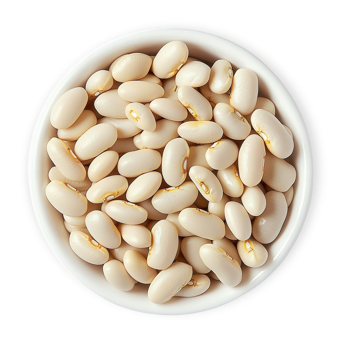 Food To Live Organic Italian Canned Cannellini Beans, 14 Oz (Pack Of 8) - Unsalted Non-Gmo White Kidney Beans. Good Source Of Fi