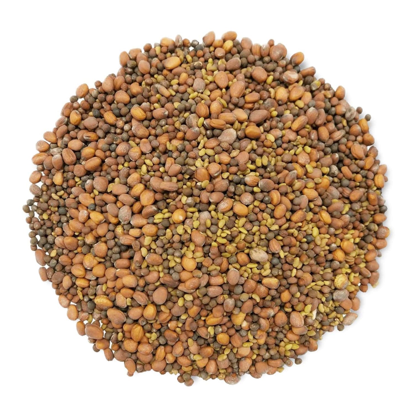 Food To Live Organic Spicy Mix Of Sprouting Seeds, 5 Pounds - Non-Gmo Broccoli, Radish, Alfalfa, Raw, Rich Germination Rate, Non