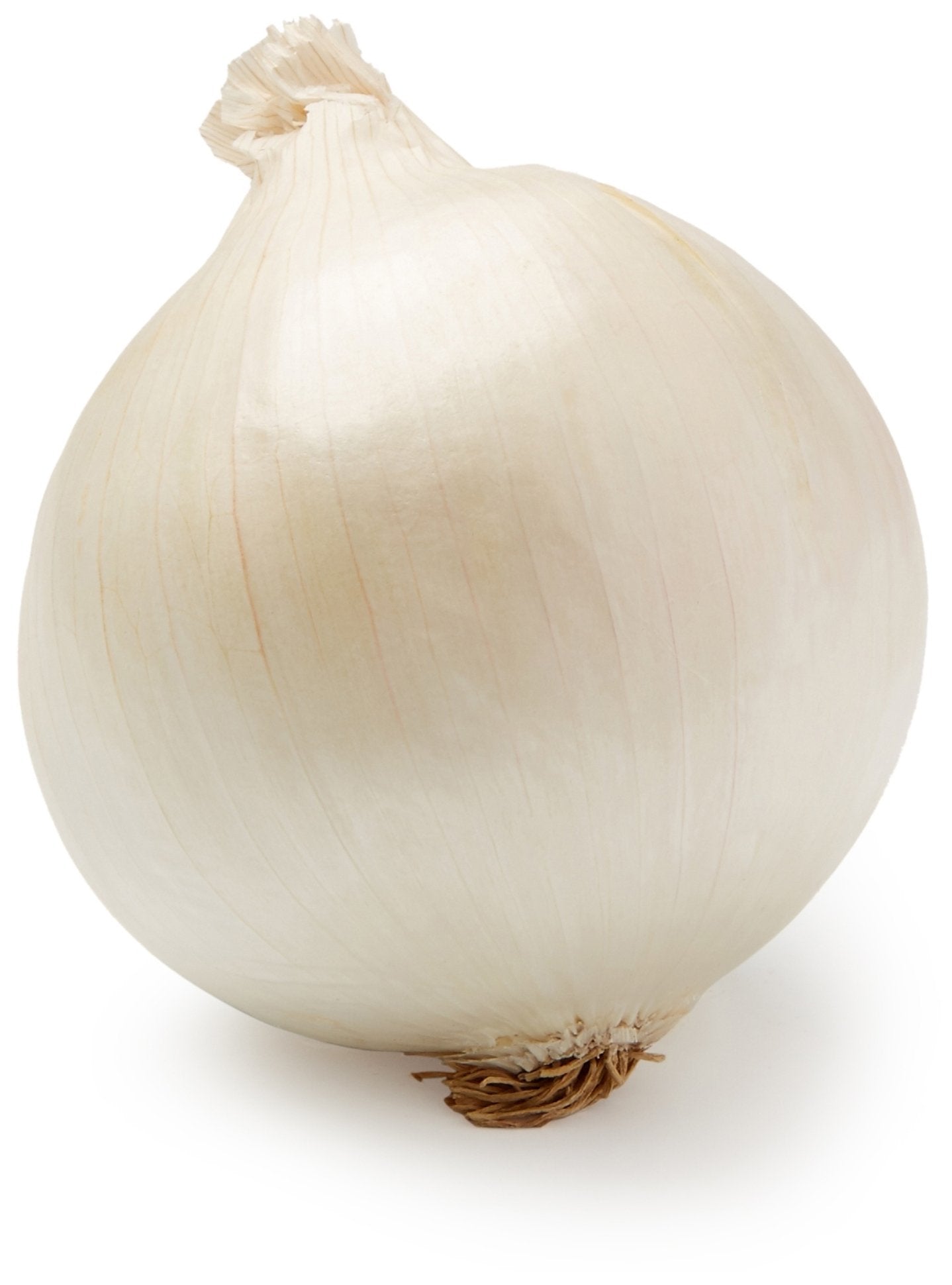 White Onion, 1 Each