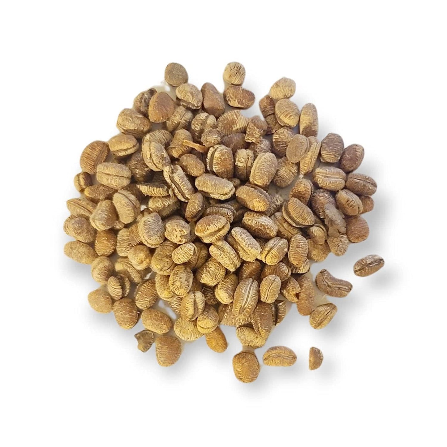 Spicy Yum! African Calabash Nutmeg (Ehuru, Efuru, Awiro) (Whole (Dehulled) - 2 Oz.)