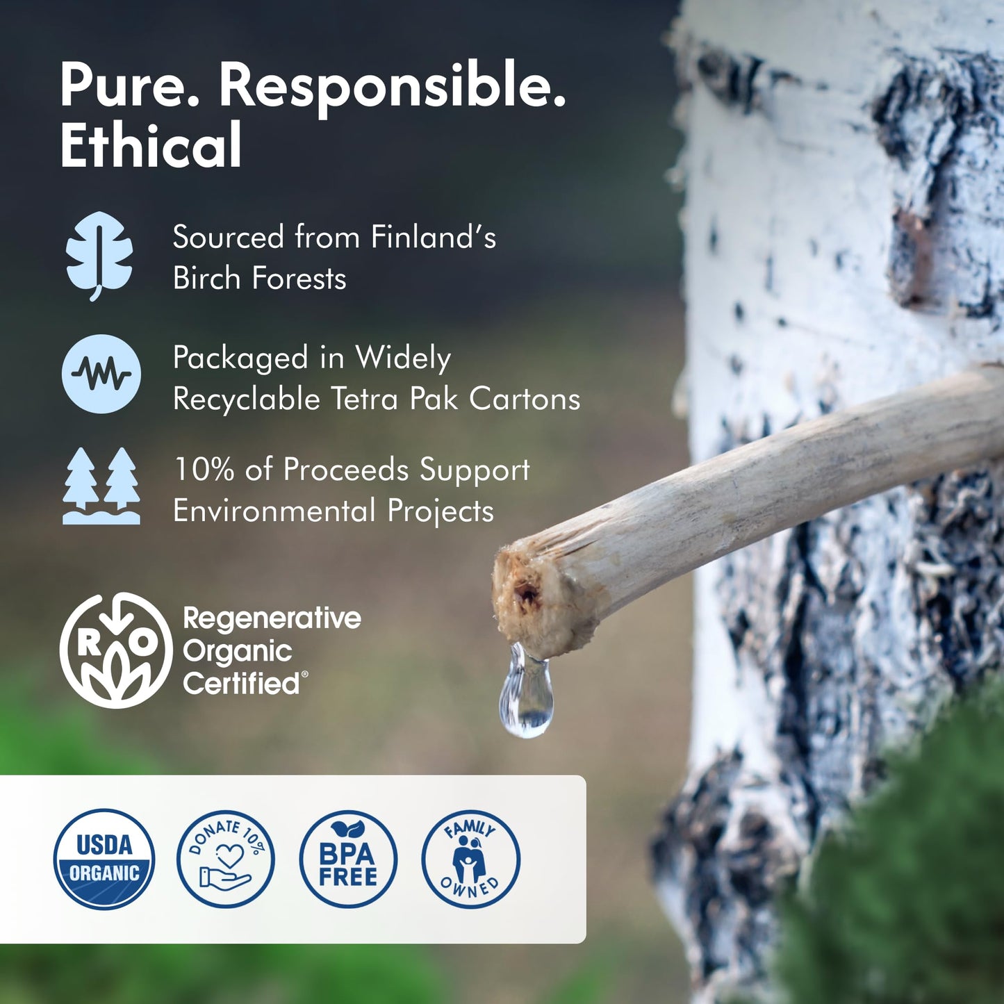 Extra Strong Regenerative Organic Certified Birch Tree Sap - Electrolytes, Minerals, Prebiotics & Vitamins, Finland Wild Harvest