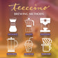 Teeccino Hazelnut Chicory Coffee Alternative, Caffeine-Free, Medium Roast, 11 Ounce (Pack of 6), Natural