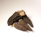 Season Harvests Dried Morel Mushrooms – Premium Gourmet Morels – 2oz – Vegan & Nutrient-Dense for Sauces and Stews