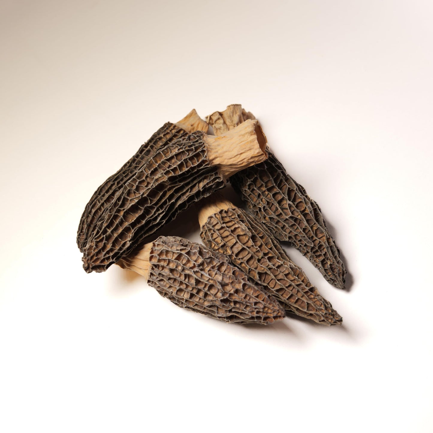 Season Harvests Dried Morel Mushrooms – Premium Gourmet Morels – 2oz – Vegan & Nutrient-Dense for Sauces and Stews