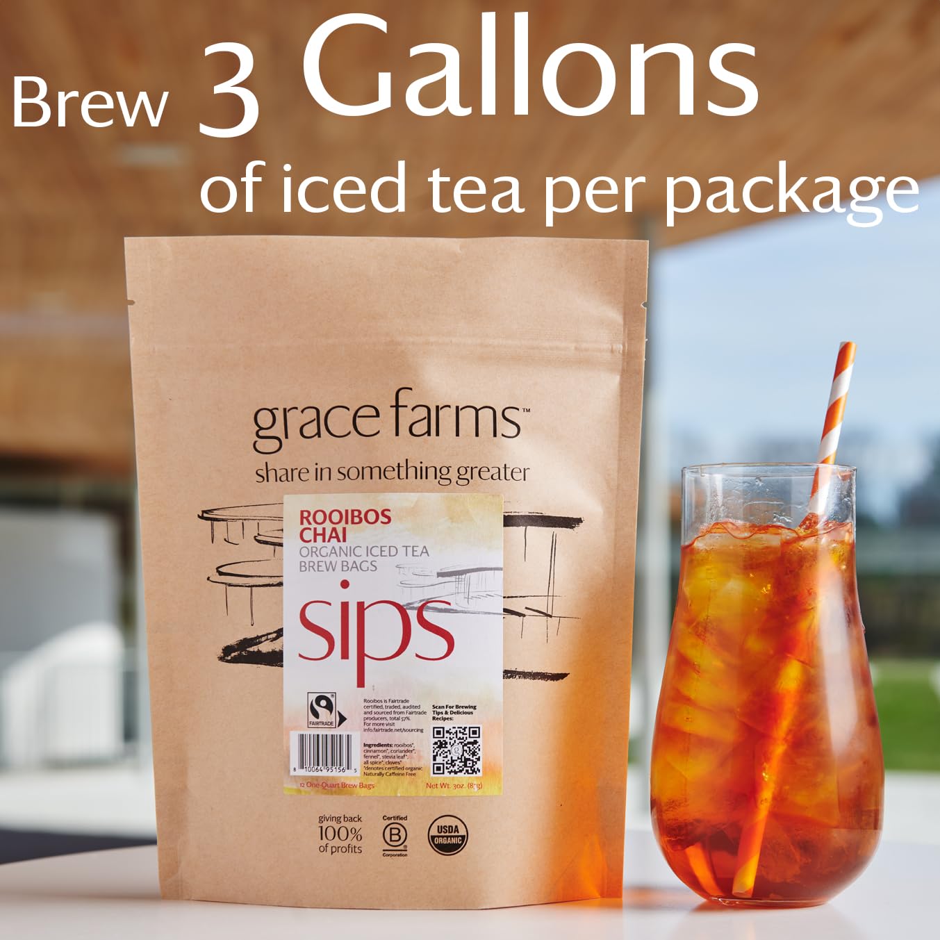 Grace Farms Organic Iced Tea - Rooibos Chai, Sugar-Free, 12 Brew Bags (1qt each), Refreshing & Spiced, Easy Cold Brew