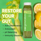 Raw Generation Cold-Pressed Celery Juice with Lemon - 12 Fl Oz (Pack of 18) - Daily Health Drink for Gut Health & Energy Boost