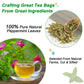 FullChea Peppermint Tea Bags - 50 Count - Premium Non-GMO Caffeine-free - Refreshing & Minty Taste