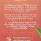 Stash Premium Chai Spice Blacktea, 30 Tea Bags