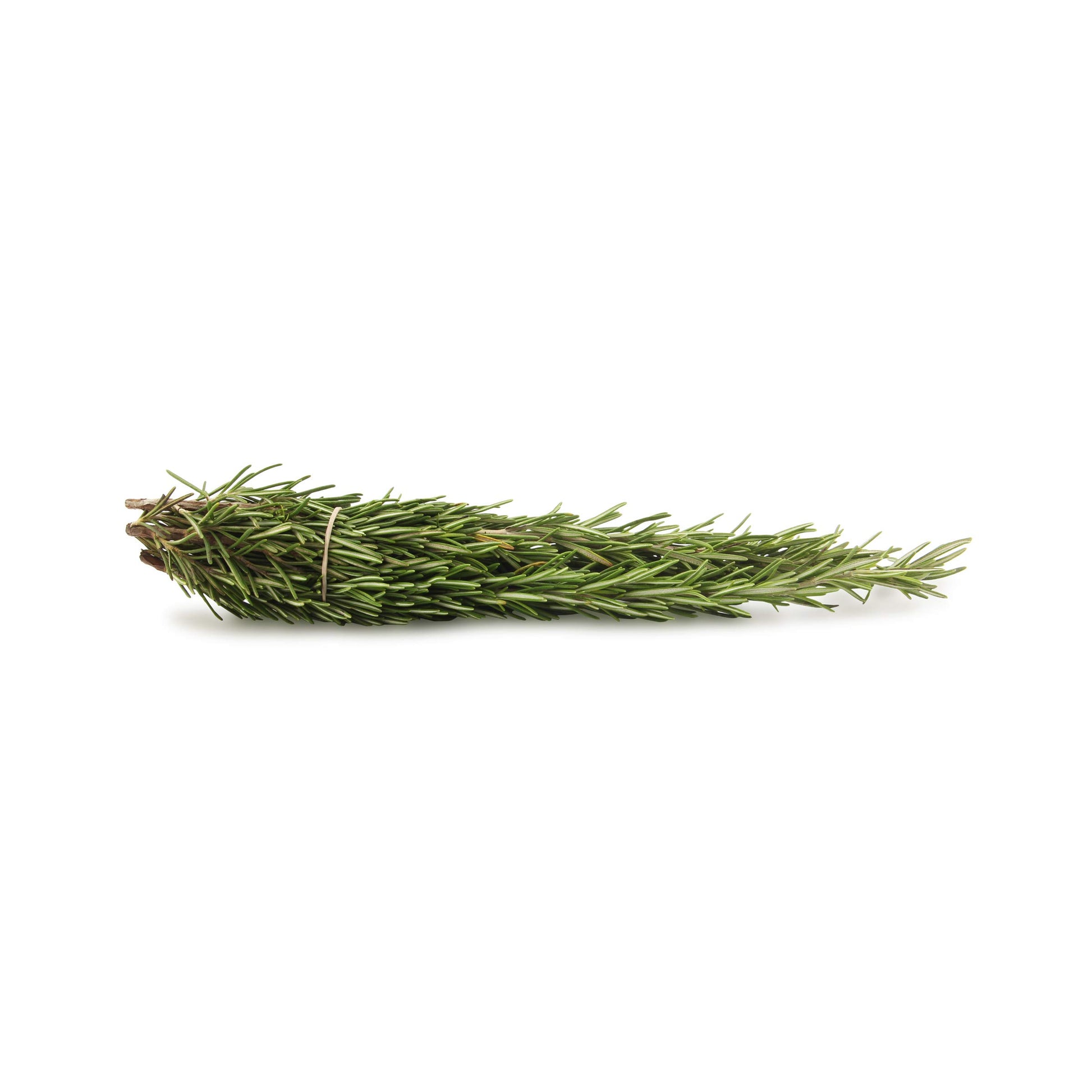 Produce, Organic Rosemary Clamshell, 0.75 Ounce