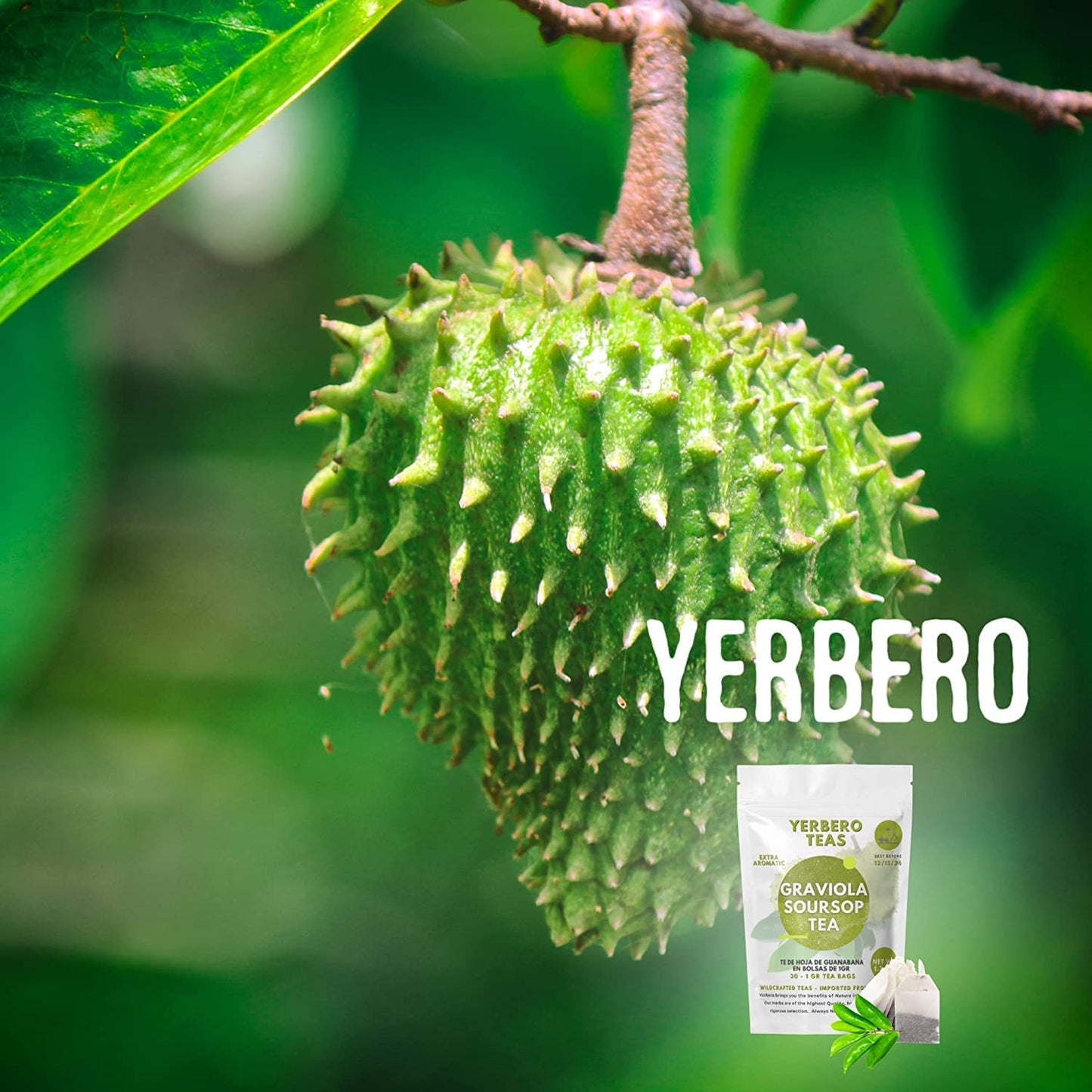Yerbero - Whole Wildcrafted Dried Graviola Soursop Leaves 1 Lb (453G - 1300+ Leaves Per Bag) Hoja De Guanabana Seca, Crafted By