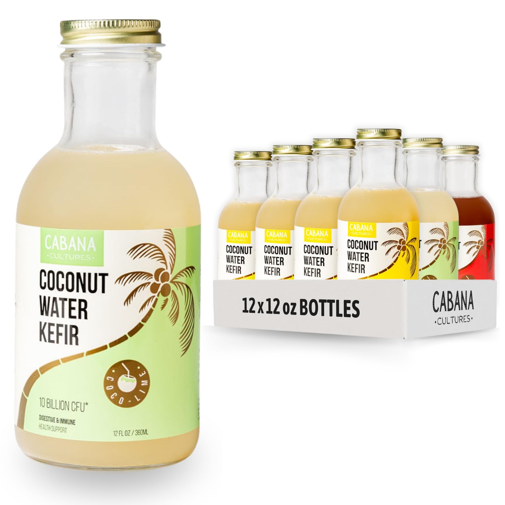 Cabana Cultures Probiotic Coconut Water Kefir, Vegan, Low Sugar, 12 Fl Oz (Pack of 12)
