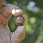 Alta Langa Hazelnuts - Terra Delle Nocciole - Piemonte, Italy