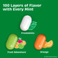 Tic Tac Flavor Variety Pack, 12 Count, On-The-Go Refreshment, Stocking Stuffers, 1 Oz Each