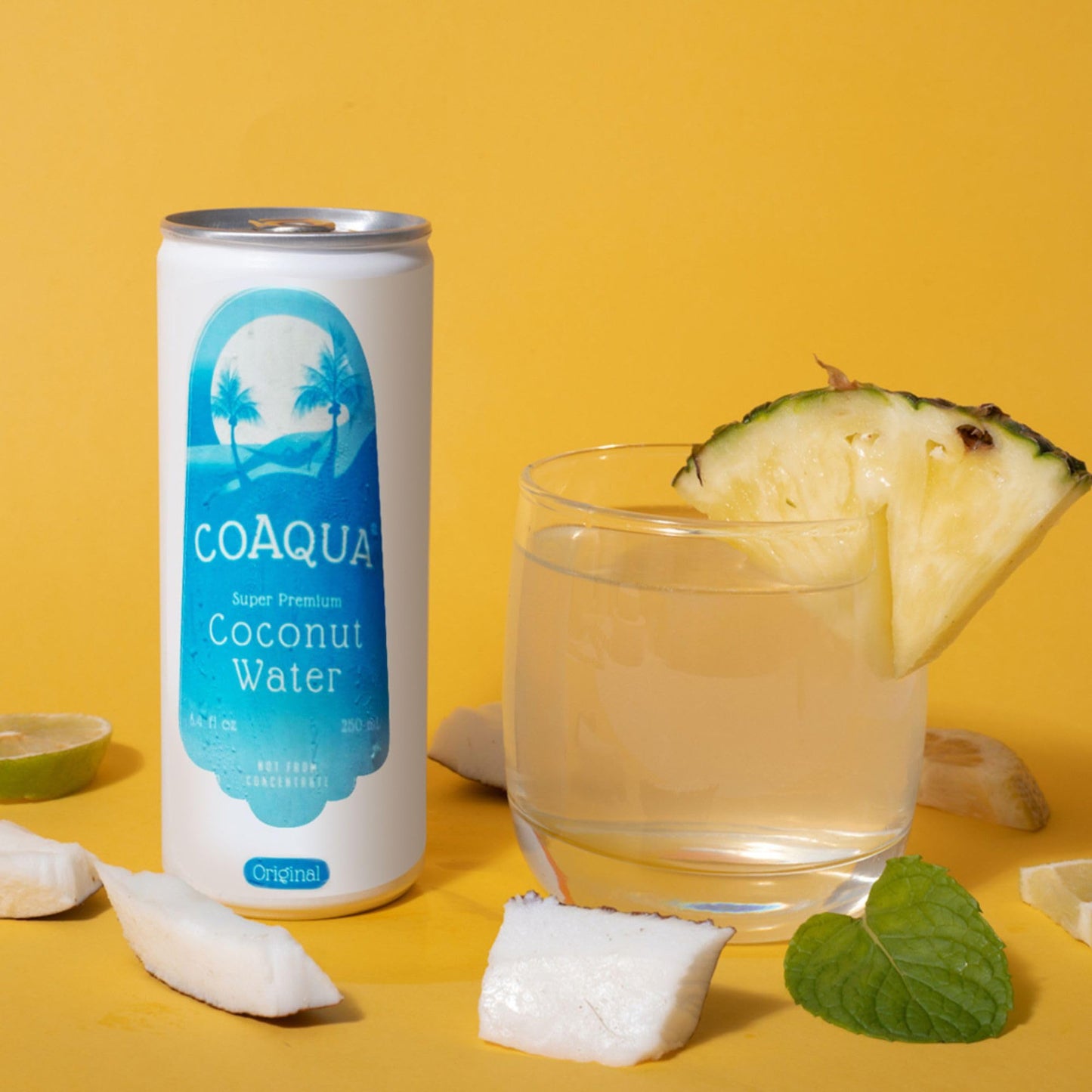 CoAqua Organic Coconut Water, 24 Pack, Natural Electrolytes for Hydration, Naturally Sweet Electrolyte Drink Potassium, Pure Coc