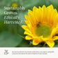 Bloomsybox : Farm-Fresh Sunflowers - Better | 10 Stems, Yellow Design, Care Card, Flower Food, Lush Greenery, Flower Delivery, B