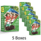 Girl Scout Thin Mints Cookies (5 Boxes)