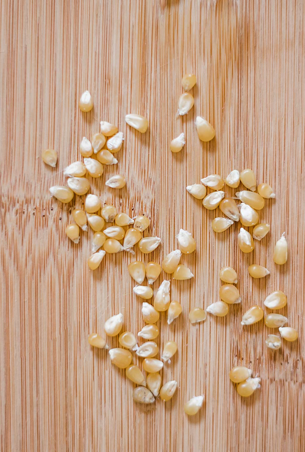 Amish Country Popcorn | 50 Lb Bag Ladyfinger Kernels | Old Fashioned, Non-GMO and Gluten Free (50lb Bag)