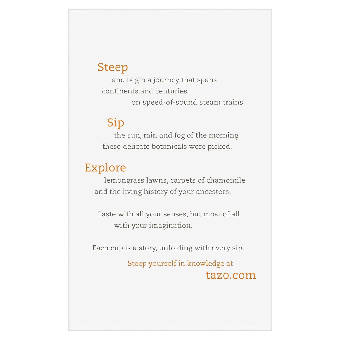 Tazo Chai Pumpkin Spice Tea 20 ct (pack of 1)