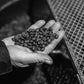 Bristot Cremoso Capsules compatible with Lavazza Blue* Machines | Medium Roast | 1050 Count