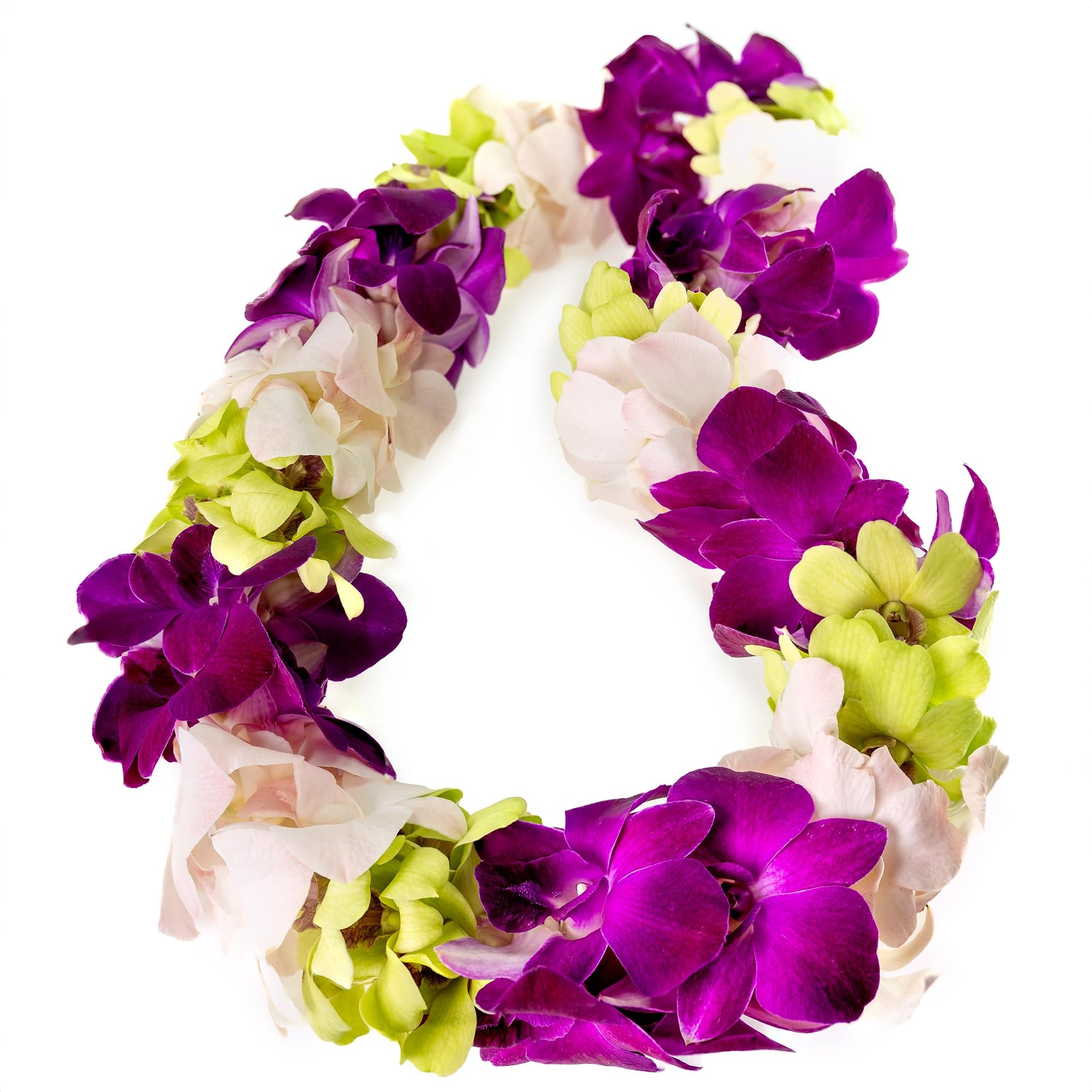 Generic Graduation Leis, Fresh Cut Orchids Flower Leis, Long-lasting double leis made of fresh cut purple, pink and green orchid
