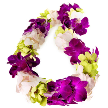 Generic Graduation Leis, Fresh Cut Orchids Flower Leis, Long-lasting double leis made of fresh cut purple, pink and green orchid