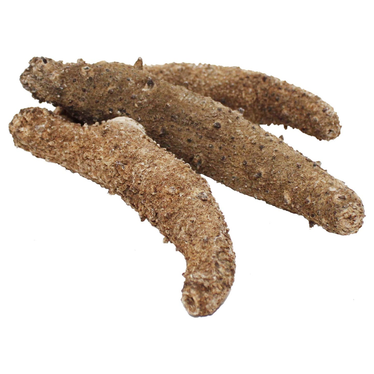 DABC OAK LAND Alaska Red Sea Cucumber, Grade AAAA, 16 oz, Sun Dried, Nutritious, Rich in Protein, Vitamins & Minerals, Medium Gift Bag