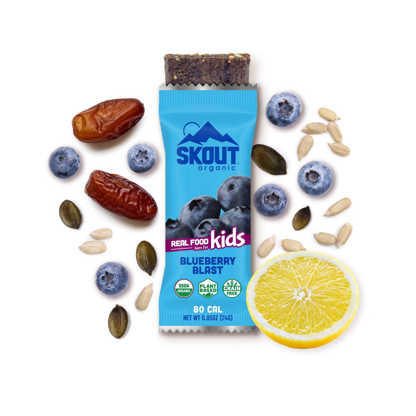 Skout Organic Blueberry Blast Real Food Bars For Kids (6 Pack) | Organic Snacks For Kids | Plant-Based Nutrition, No Refined Sug