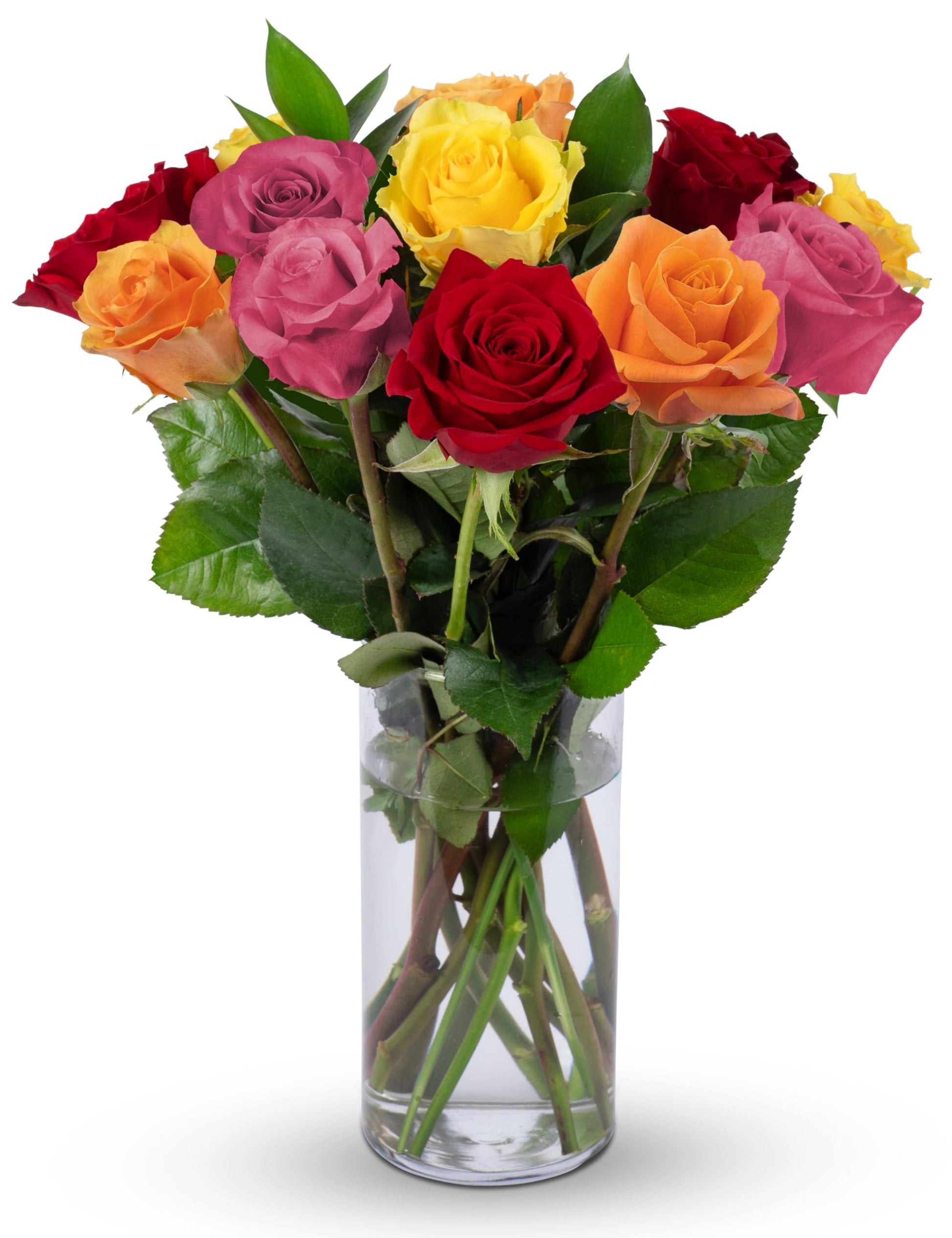 Benchmark Bouquets  12 Stem Rainbow Roses  Glass Vase Included  Gift Fresh Flowers for Birthday  Anniversary  Get Well  Sympathy  Congratulations  Thank You  Just Because