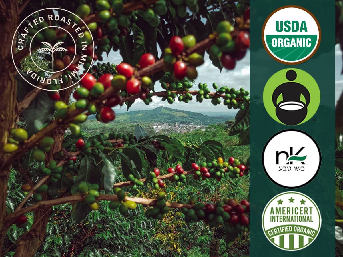 Artizan Coffee Roasters Organic Hemp Coffee Medium-Dark Roast 10 Ounce