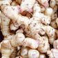Fresh Galangal From Hawaii (1)