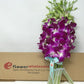 Premium Cut Purple Orchids (10 Stems Orchids) Prime Delivery