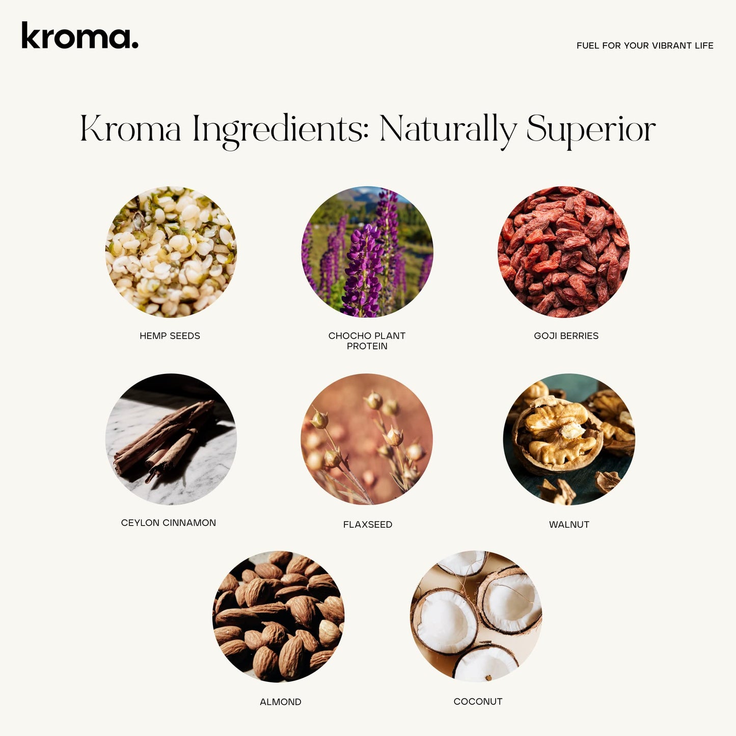Kroma Super Porridge, Gluten Free, Chocho Plant Protein, Vegan Superfood Breakfast Cereal With Hemp Seeds, Cinnamon, Oats, Cocon