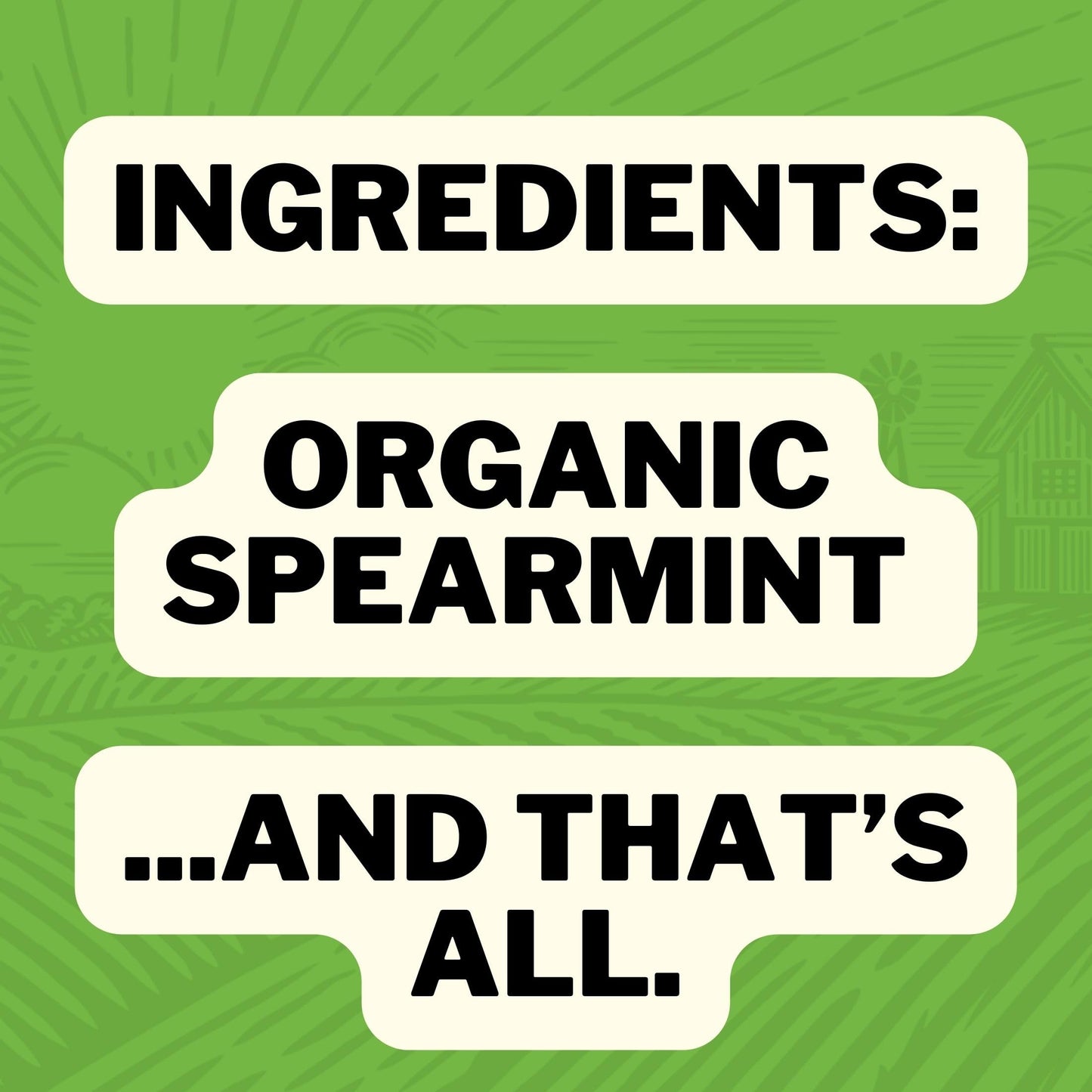 FreshJax Organic Spearmint Spice - 2 Ounce BPA-Free Bottle