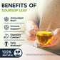 Soursop Leaf Herbal Tea (Graviola) - Caffeine & Sugar Free  120 Count