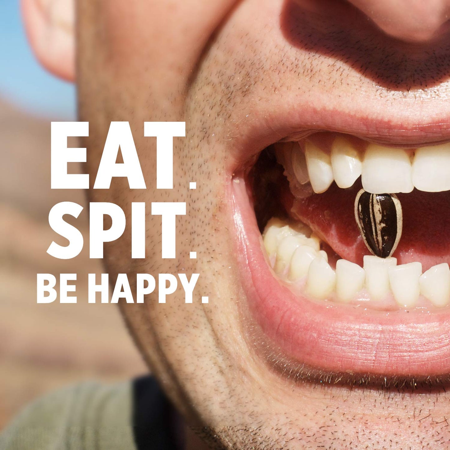 DAVID Roasted and Salted Sunflower Seeds, Original Flavor, 5.25oz. (Pack of 12)